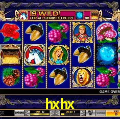 Descubra a Essência do hxhx: Nossa História e Compromissos